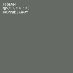 #656A64 - Ironside Gray Color Image